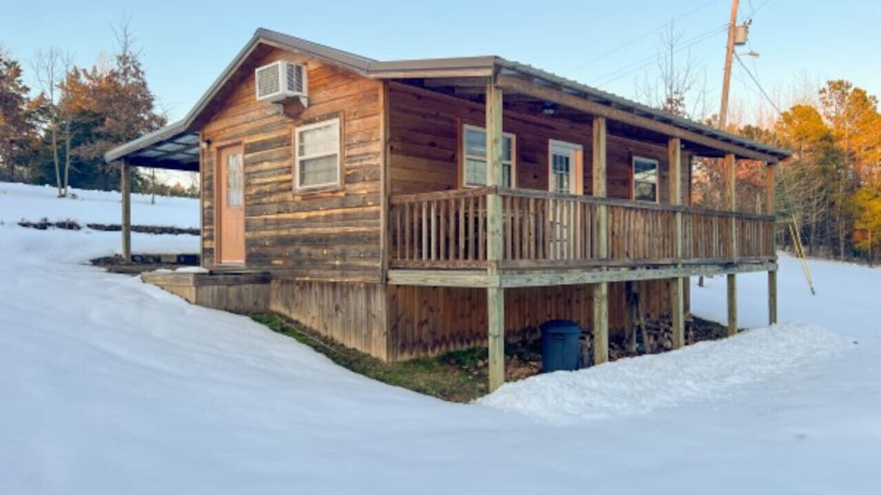 Photo of Outdoor in Daisy
