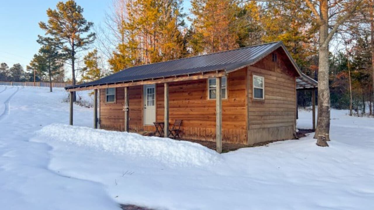 Photo of Outdoor in Daisy