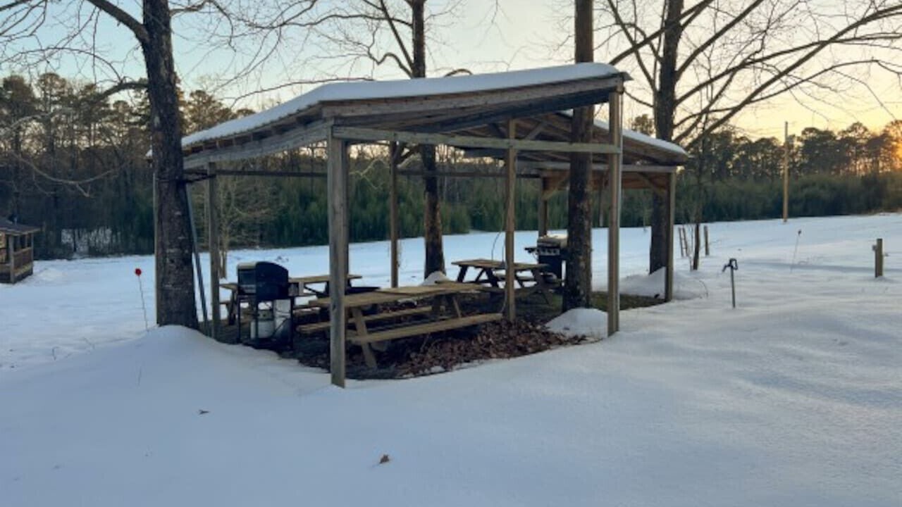 Photo of Outdoor in Daisy