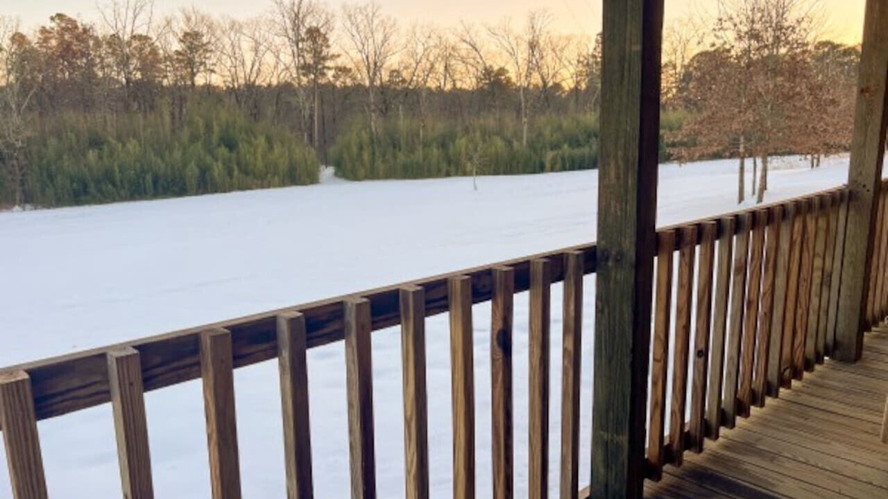 Photo of Outdoor in Daisy