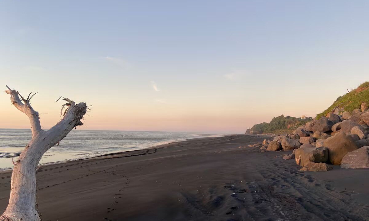 Photo of Others in Mokau