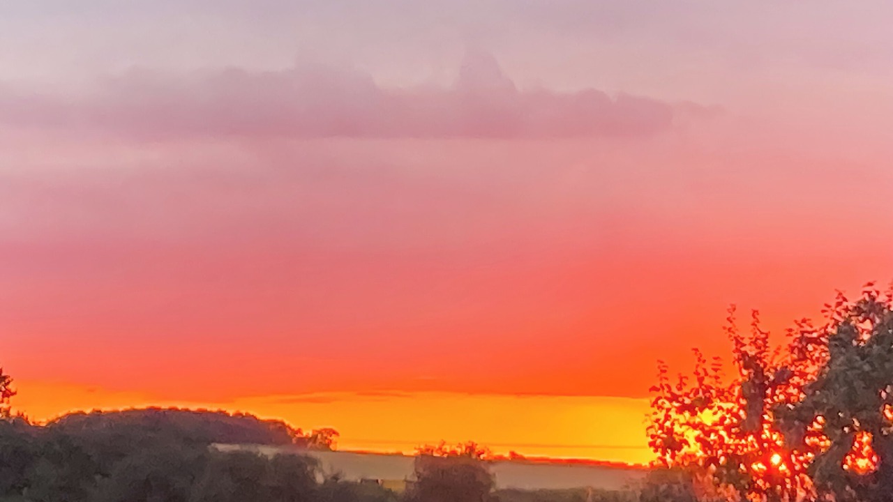 Photo of Others in Acton