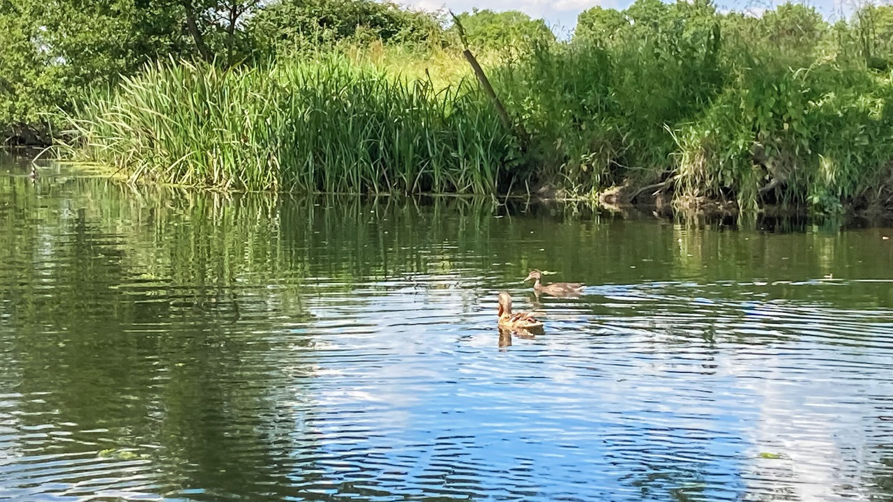 Photo of Others in Acton