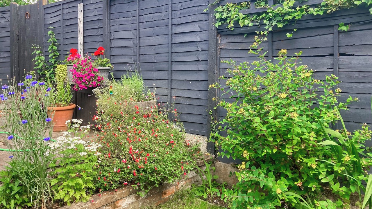 Photo of Outdoor in Acton