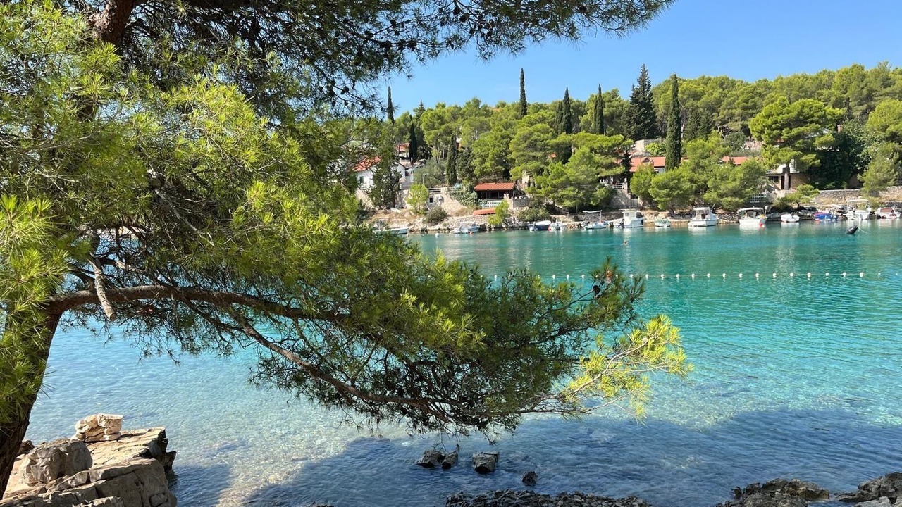Photo of Others in Milna (Brac)