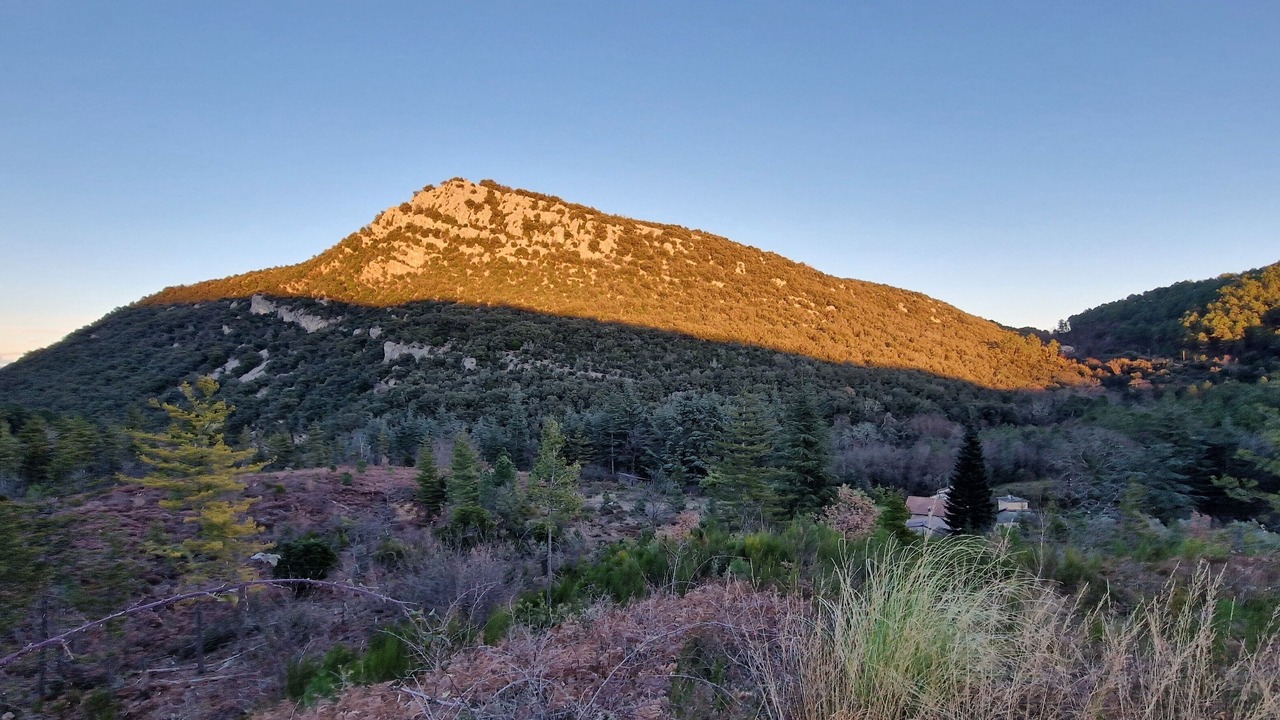 Photo of Others in Banne