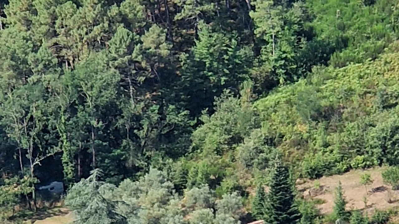 Photo of Outdoor in Banne