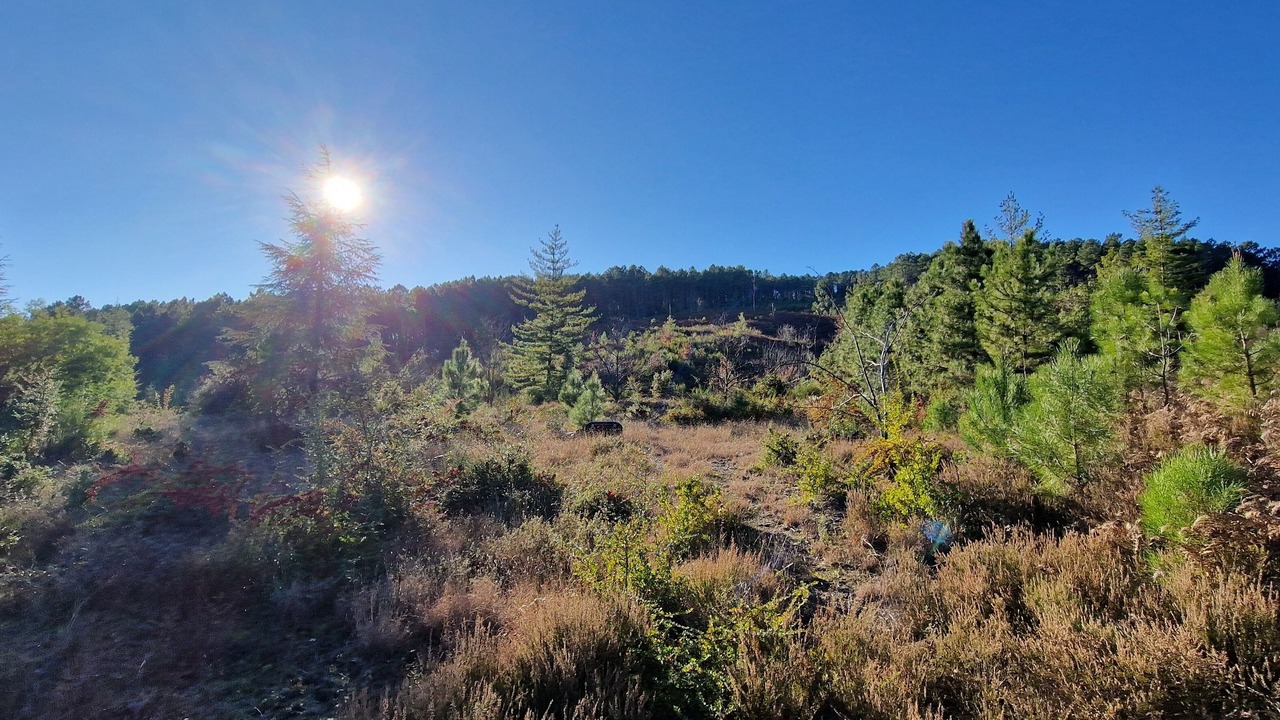 Photo of Others in Banne