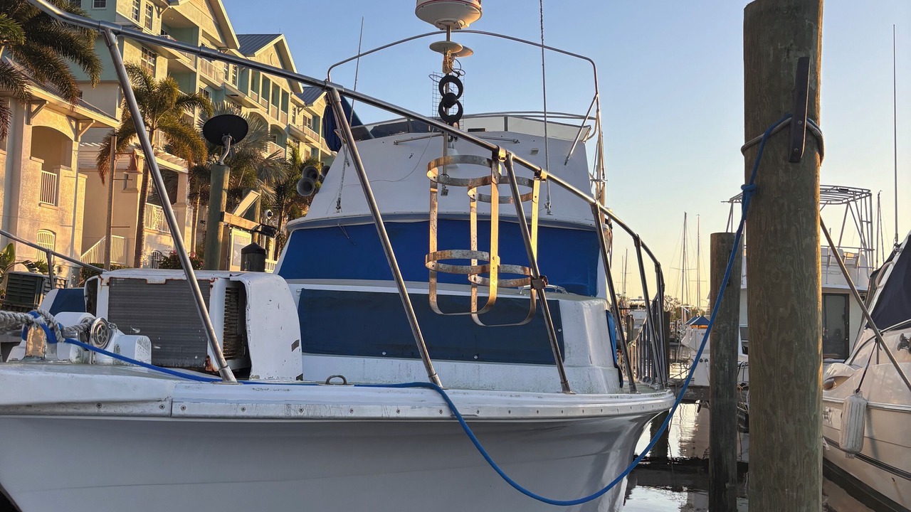 Photo of Outdoor in Bradenton