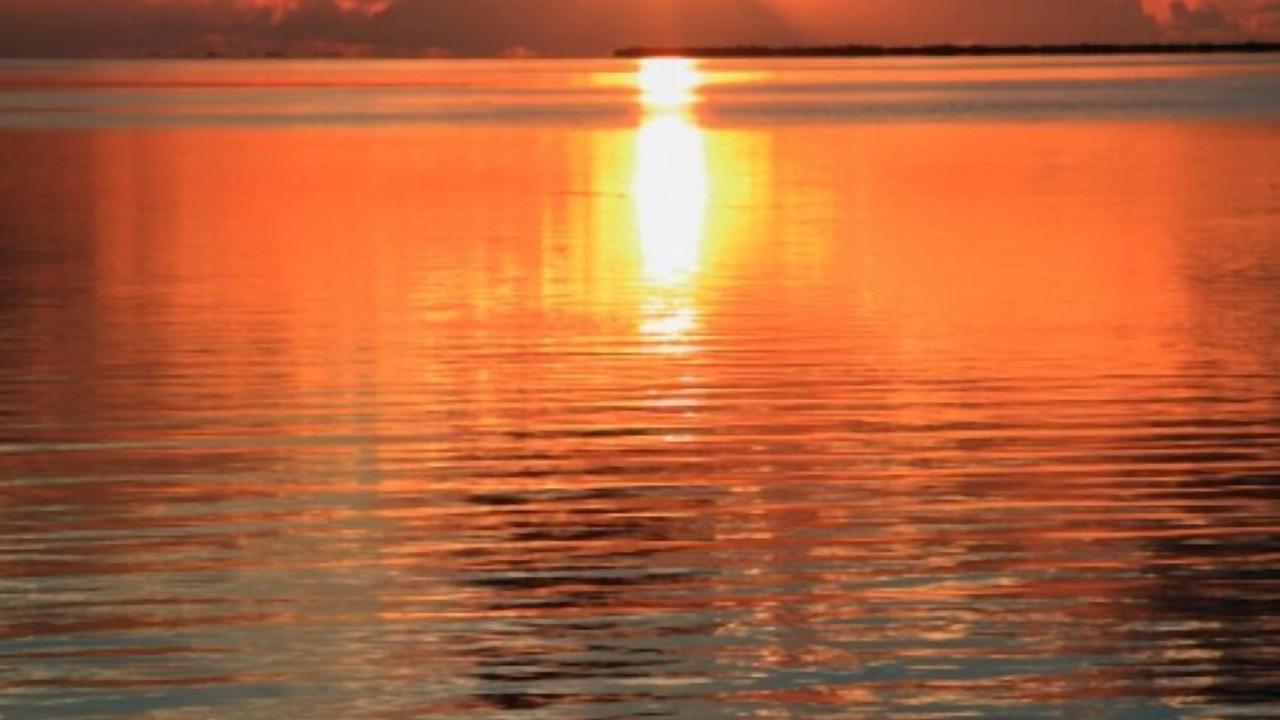 Photo of Outdoor in Bradenton