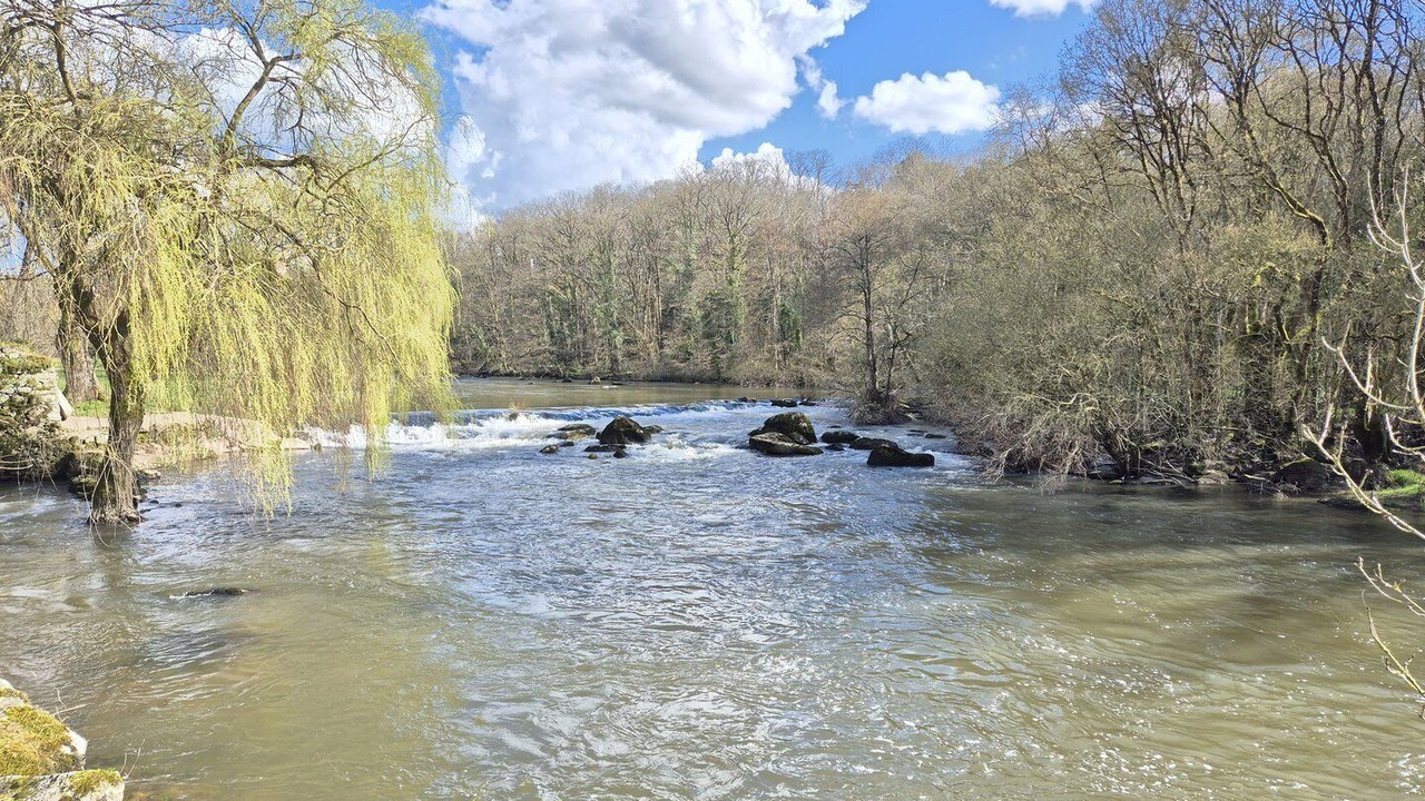 Photo of Others in Mortagne-sur-Sevre