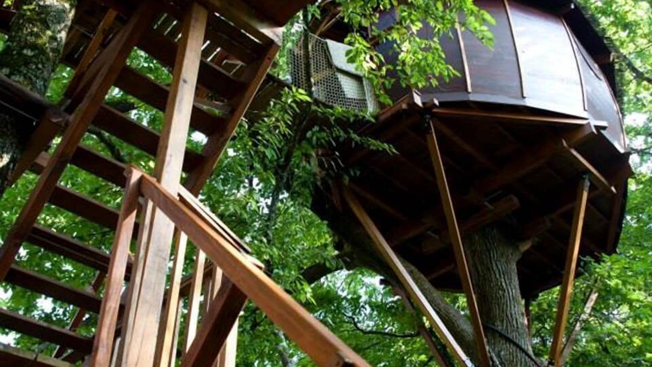 Photo of Others in Haute-Saintonge