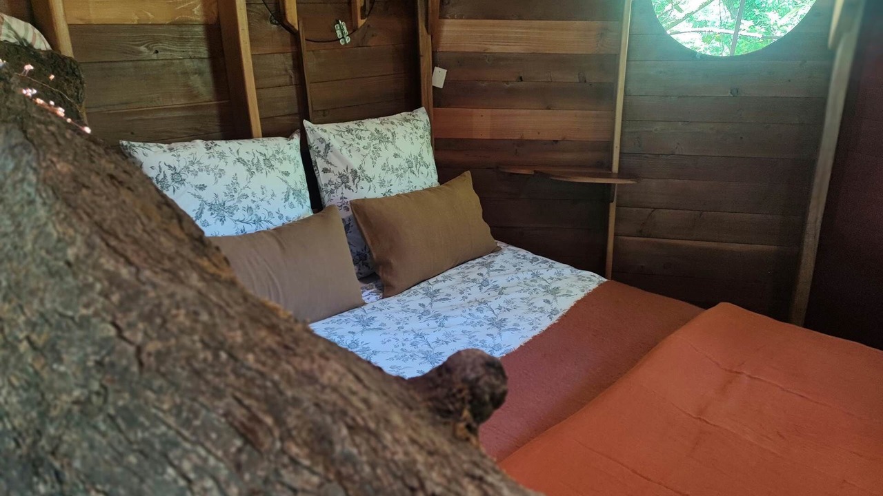 Photo of Others in Haute-Saintonge