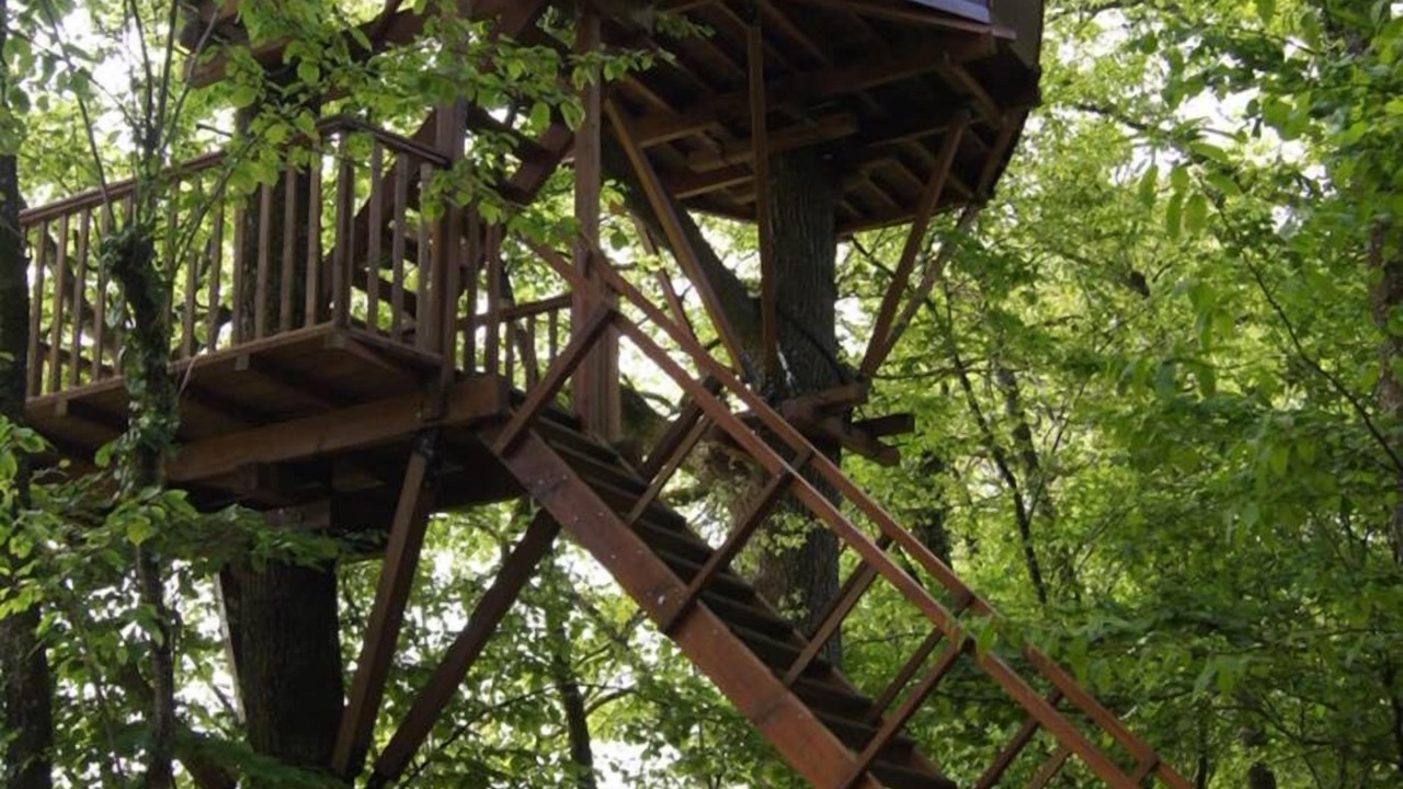 Photo of Others in Haute-Saintonge