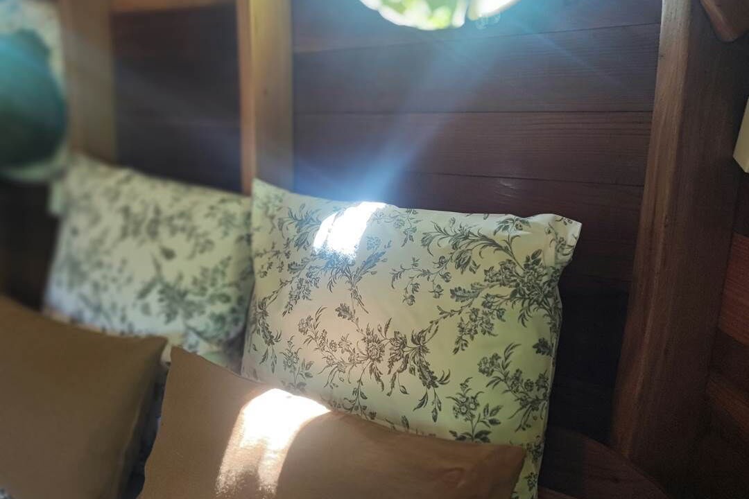 Photo of Others in Haute-Saintonge