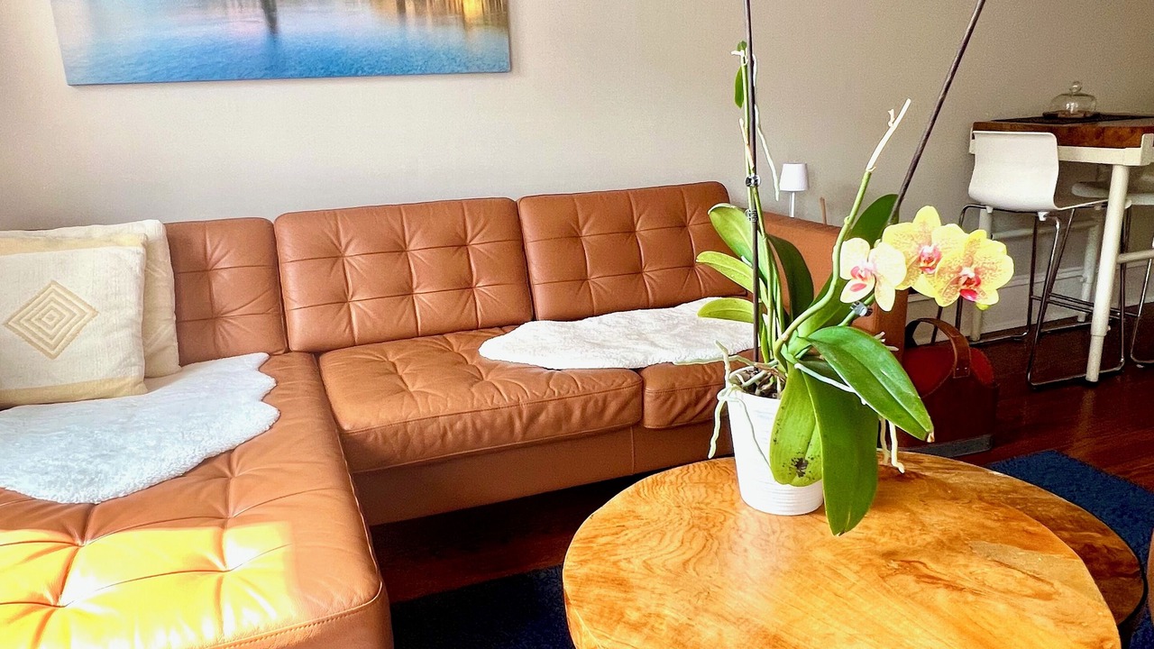 Photo of Livingroom in Perth