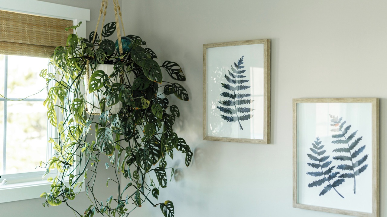 Photo of Others in Groton