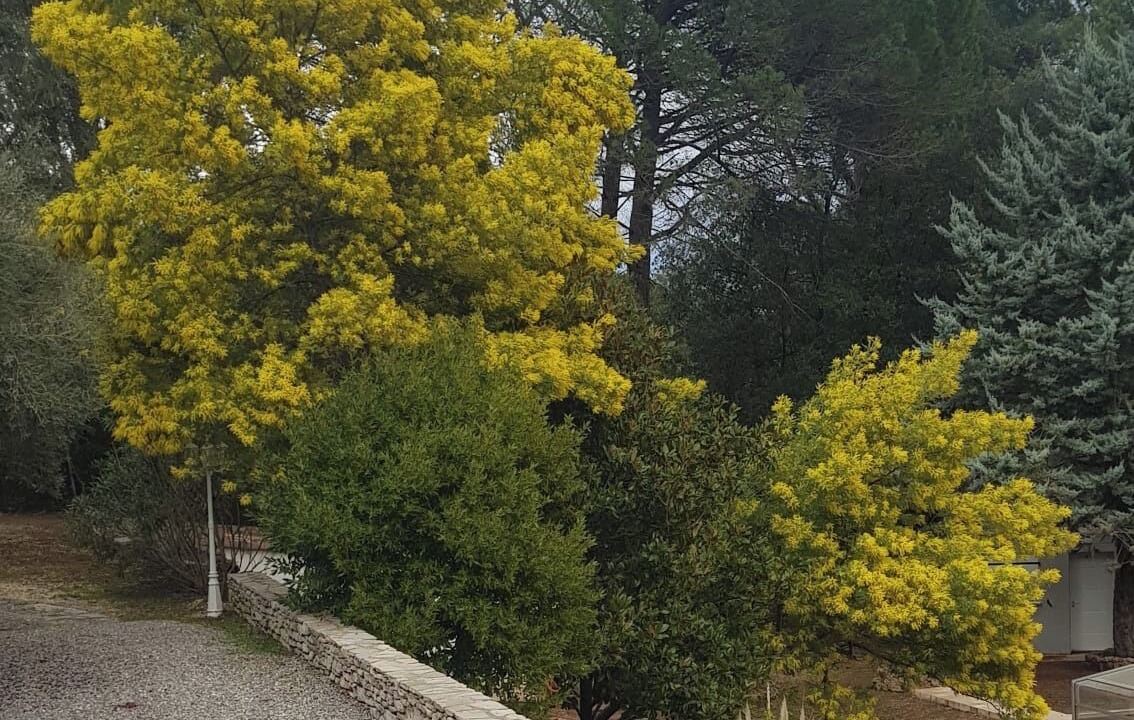 Photo of Outdoor in Anduze