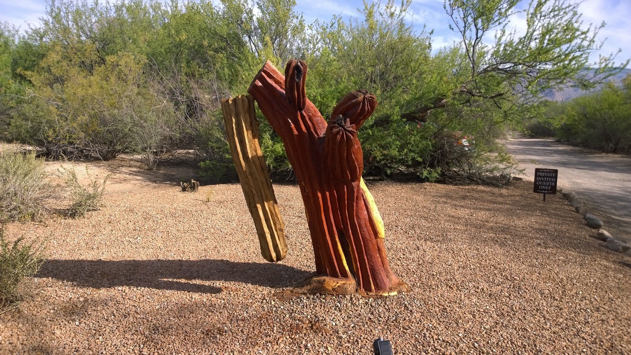 Photo of Others in Tanque Verde