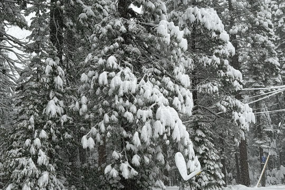 Photo of Outdoor in La Porte