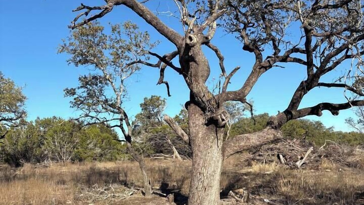 Photo of Others in Gatesville