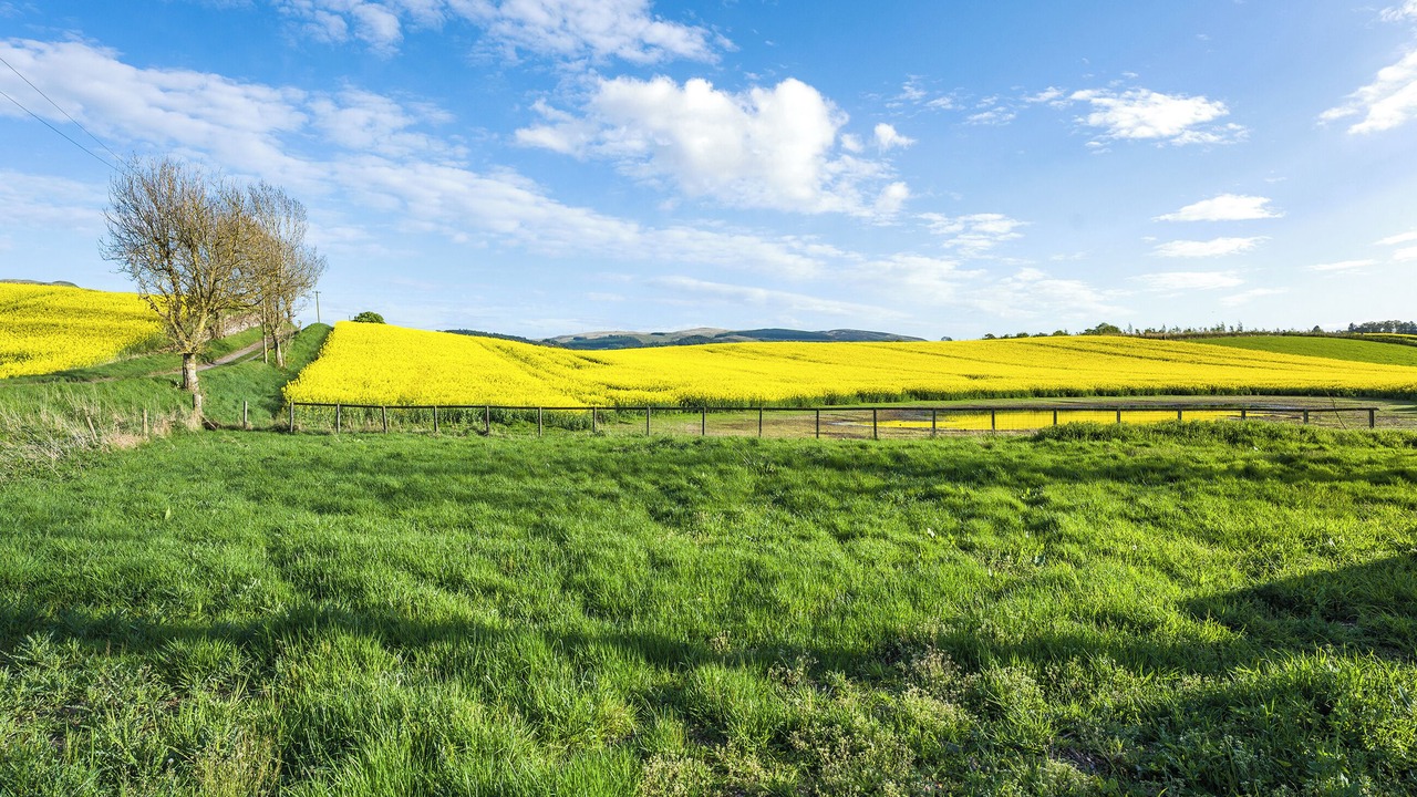 Photo of Others in Auchterarder