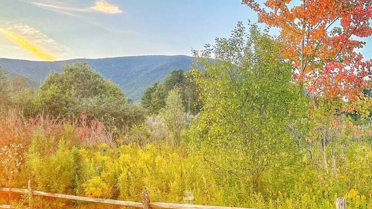 Photo of Others in Manchester Center