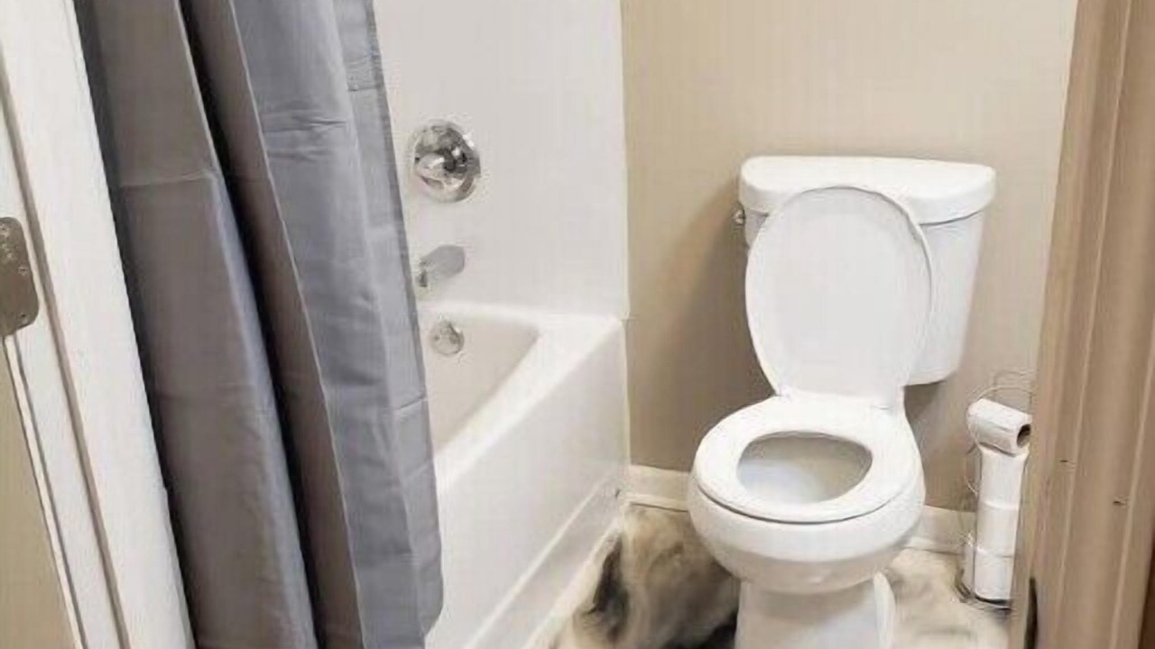 Photo of Bathroom in Whiting