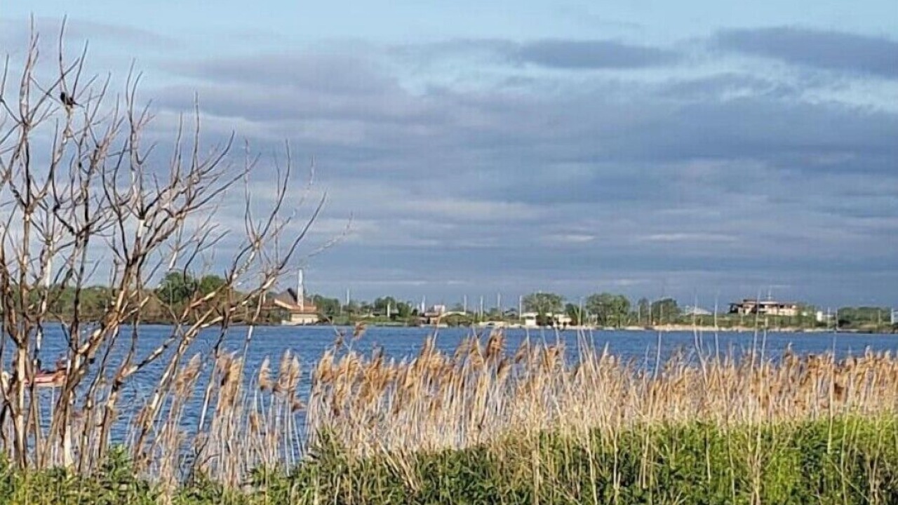 Photo of Others in Whiting