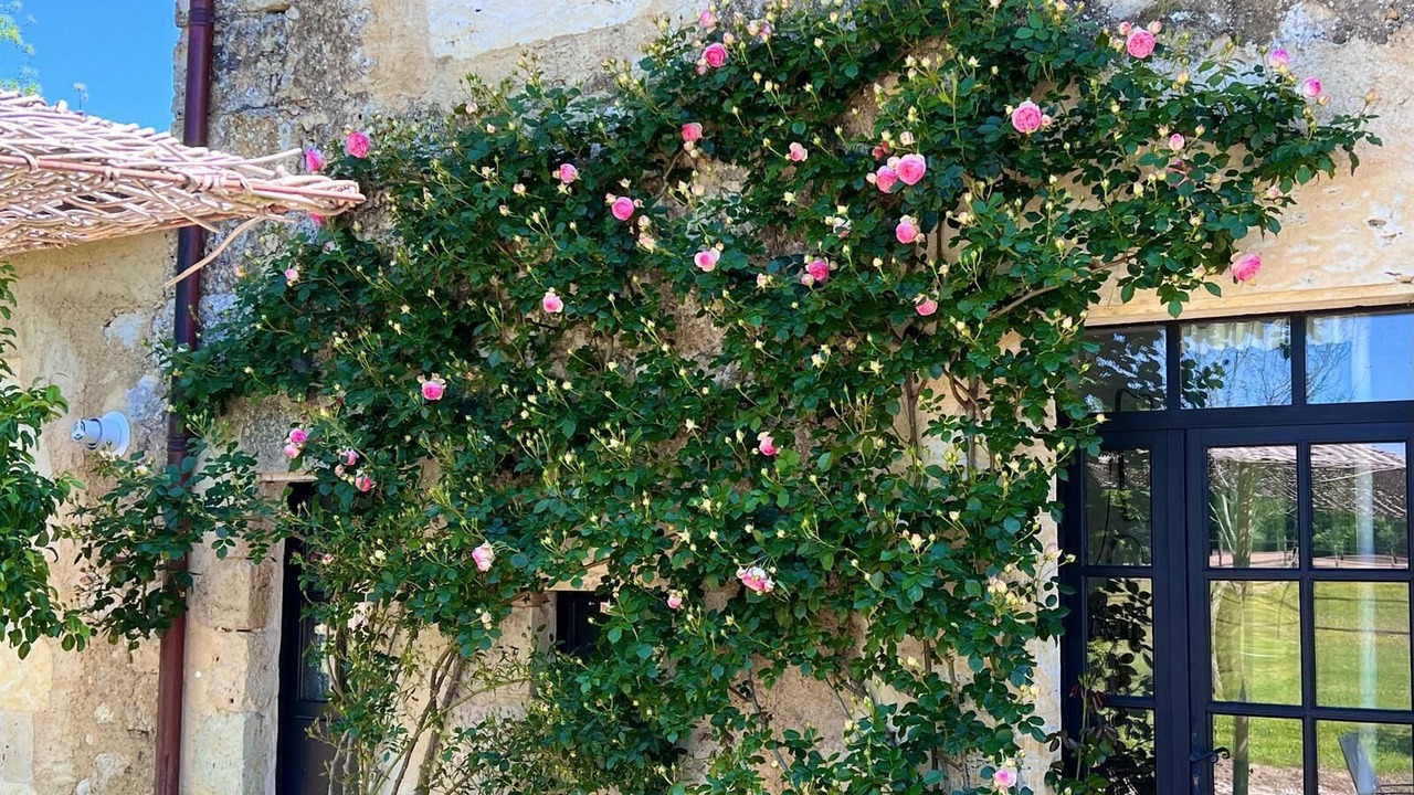 Photo of Outdoor in Castet-Arrouy