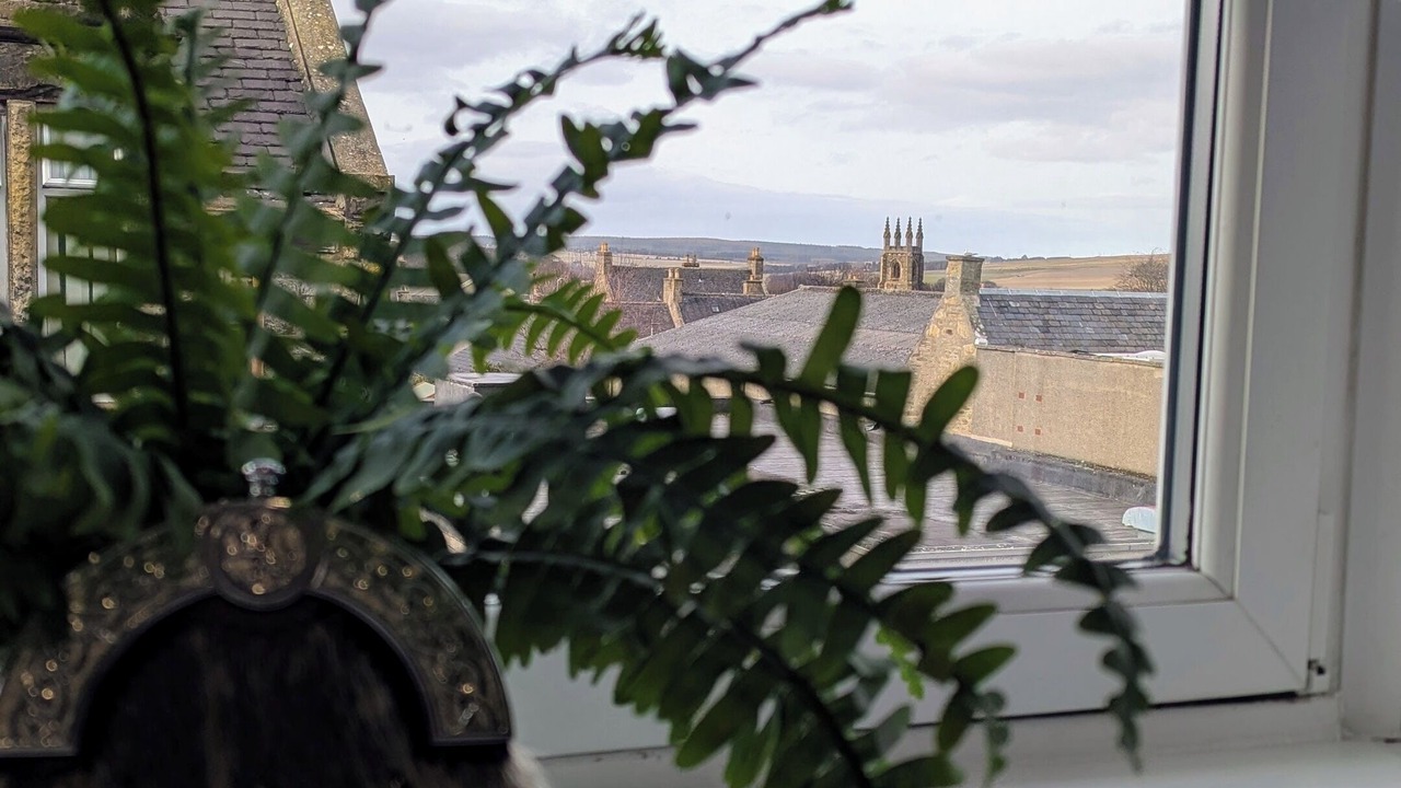 Photo of Others in Keith