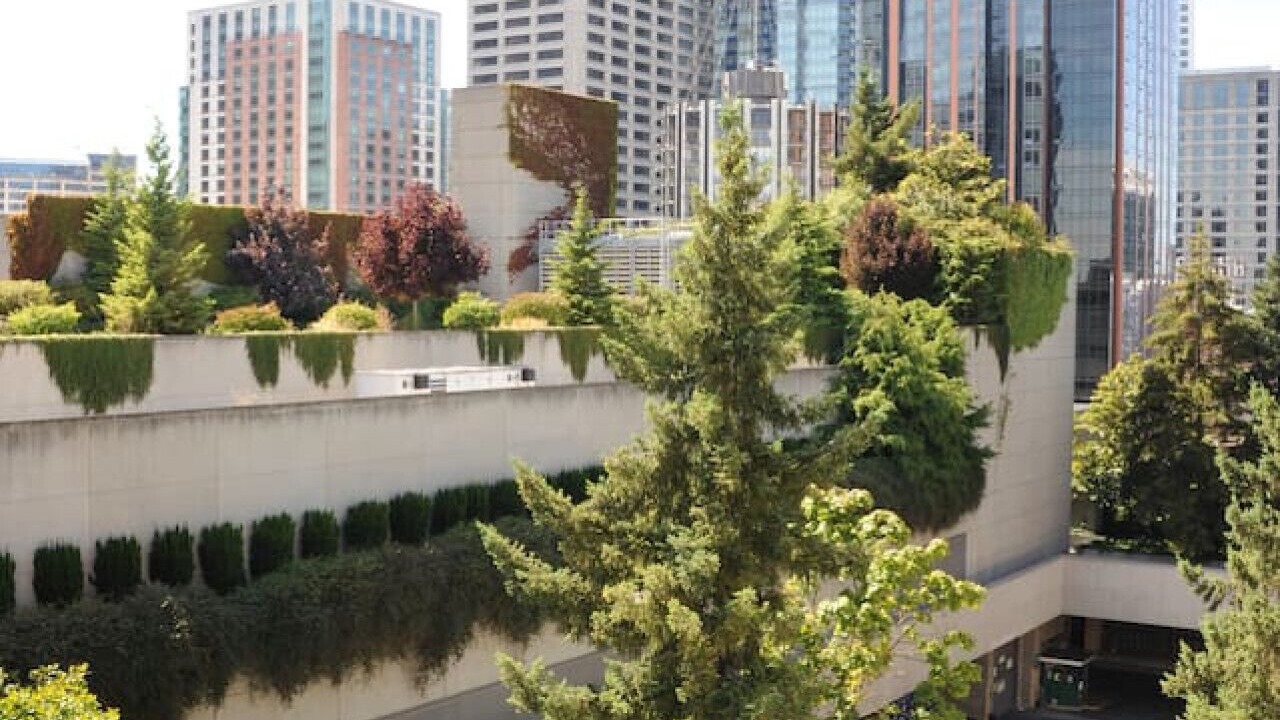 Photo of Others in Downtown Seattle