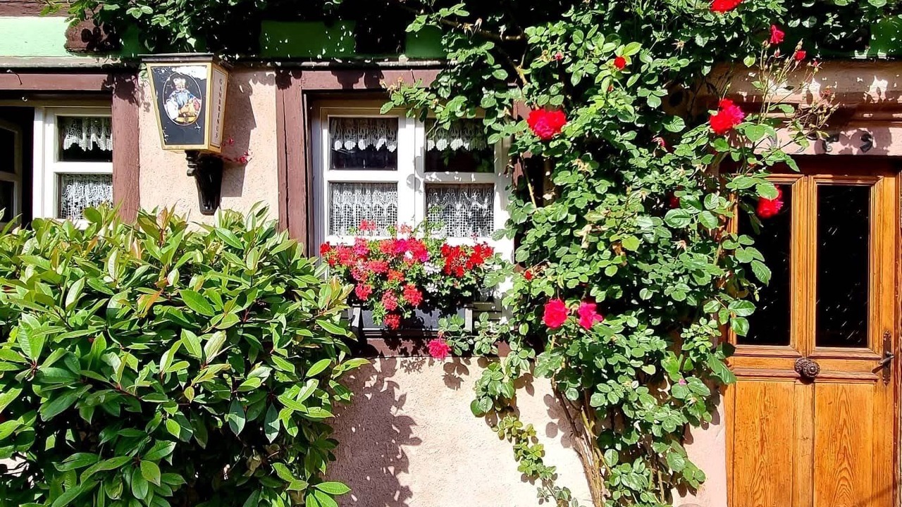 Photo of Outdoor in Beblenheim