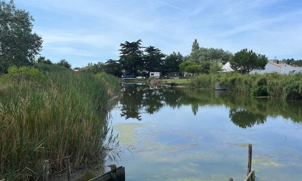 Photo of Others in Saint-Hilaire-de-Riez