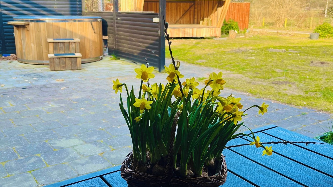 Photo of Patio Balcony in Øksenmølle