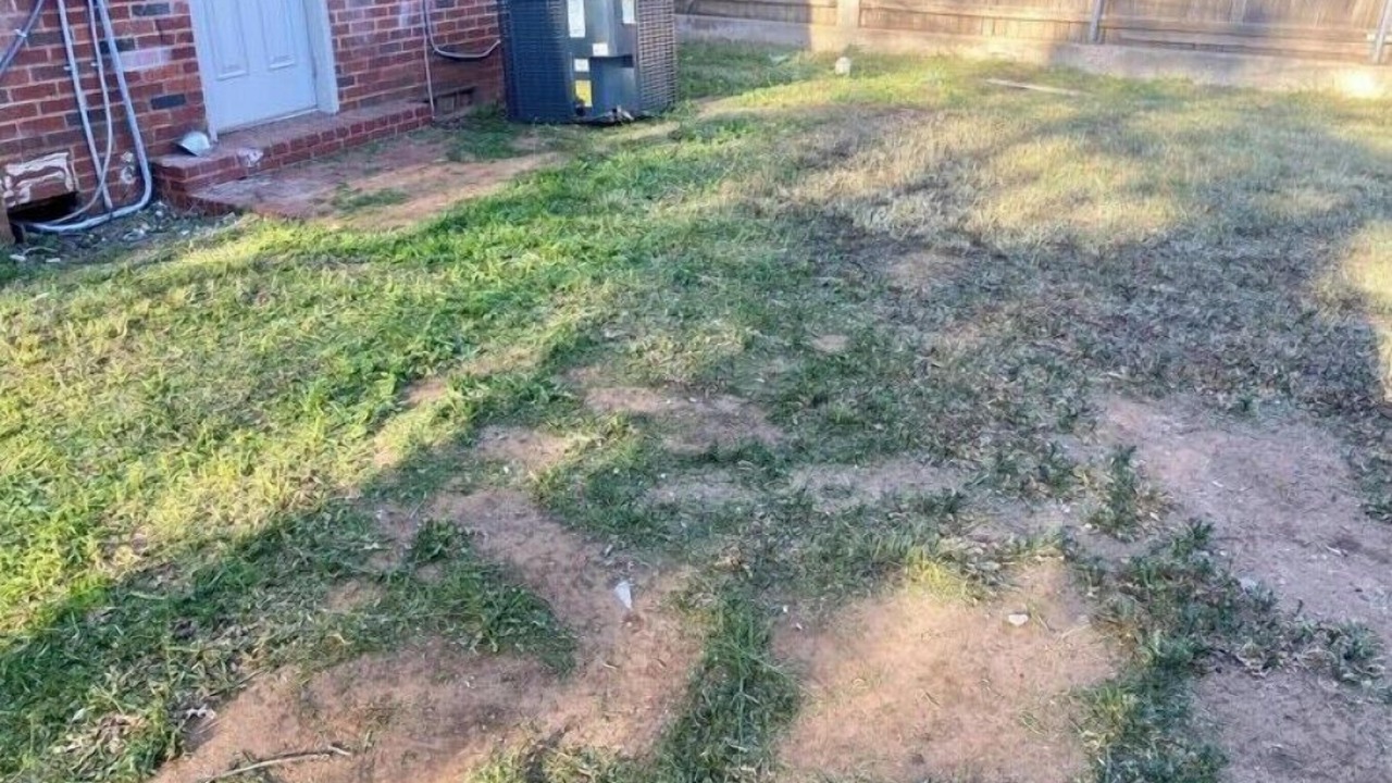 Photo of Outdoor in Heart of Lubbock