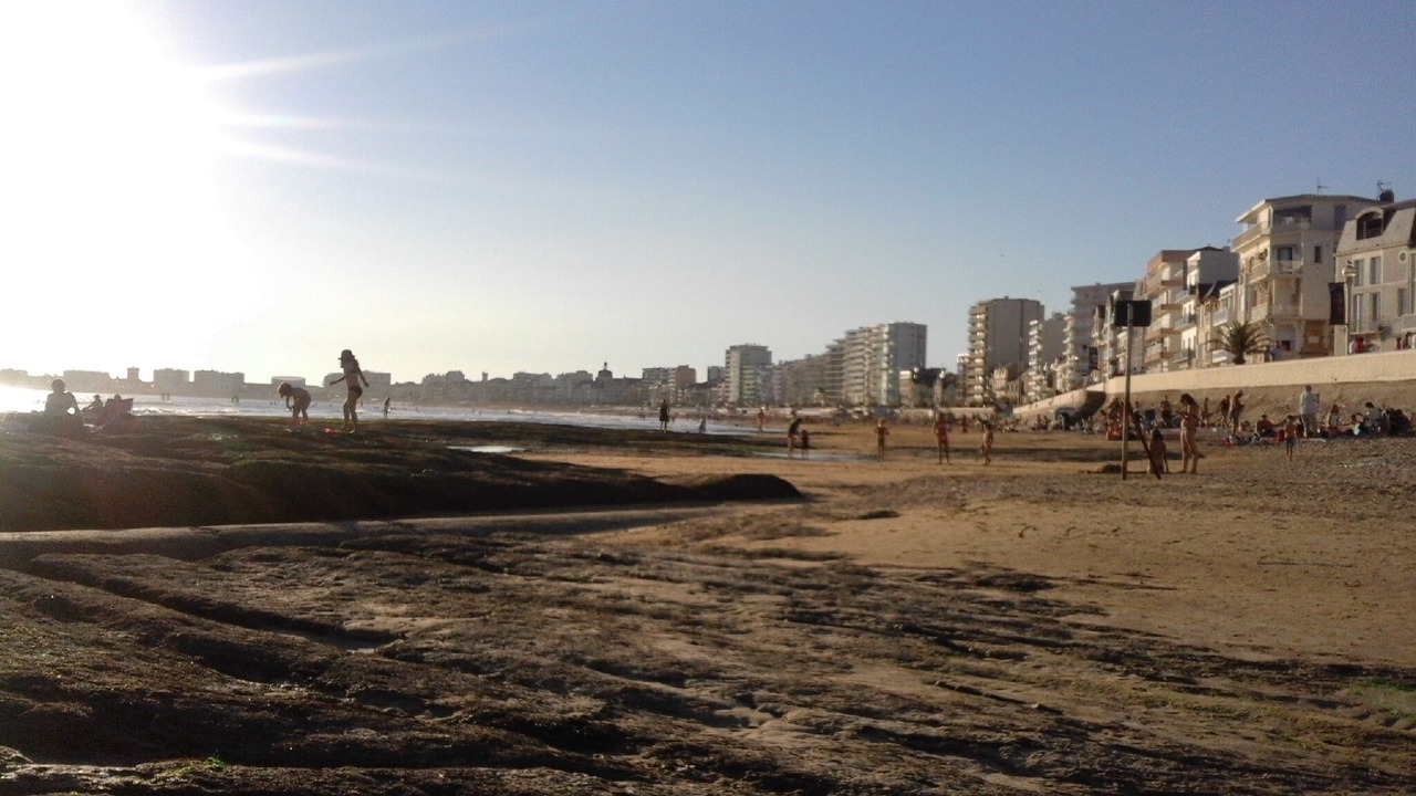 Photo of Others in Olonne-sur-Mer