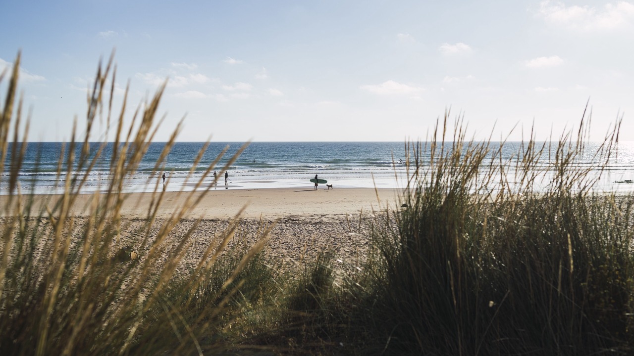Photo of Others in Olonne-sur-Mer
