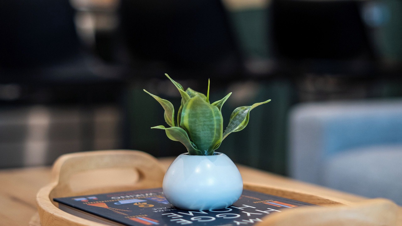 Photo of Others in Sagle