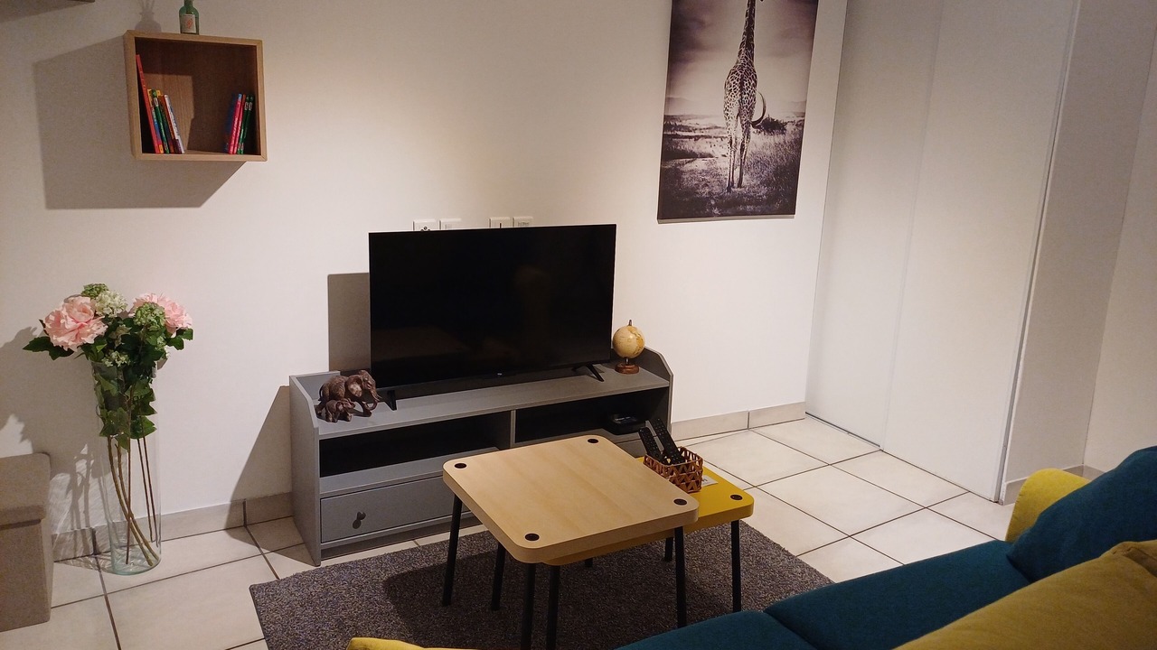 Photo of Livingroom in Cholet