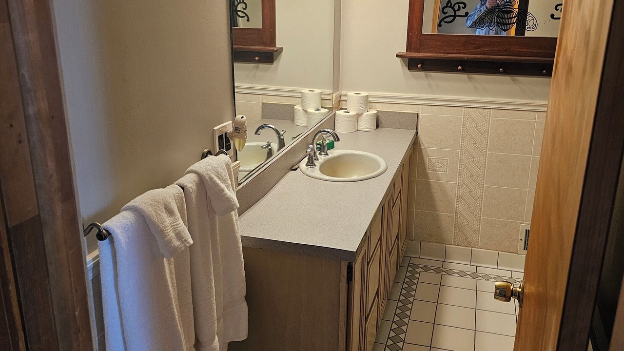 Photo of Bathroom in Fenton