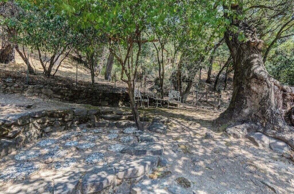 Photo of Outdoor in Mount Hamilton