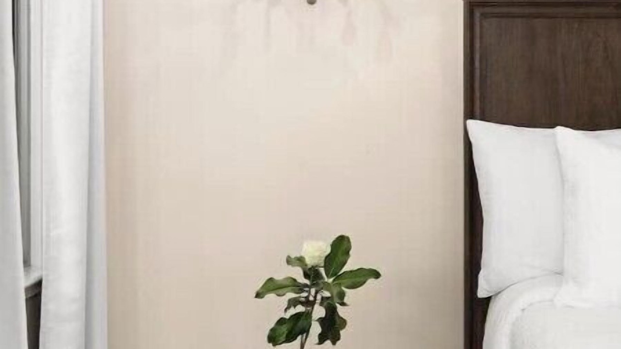 Photo of Bedroom in Mount Hamilton