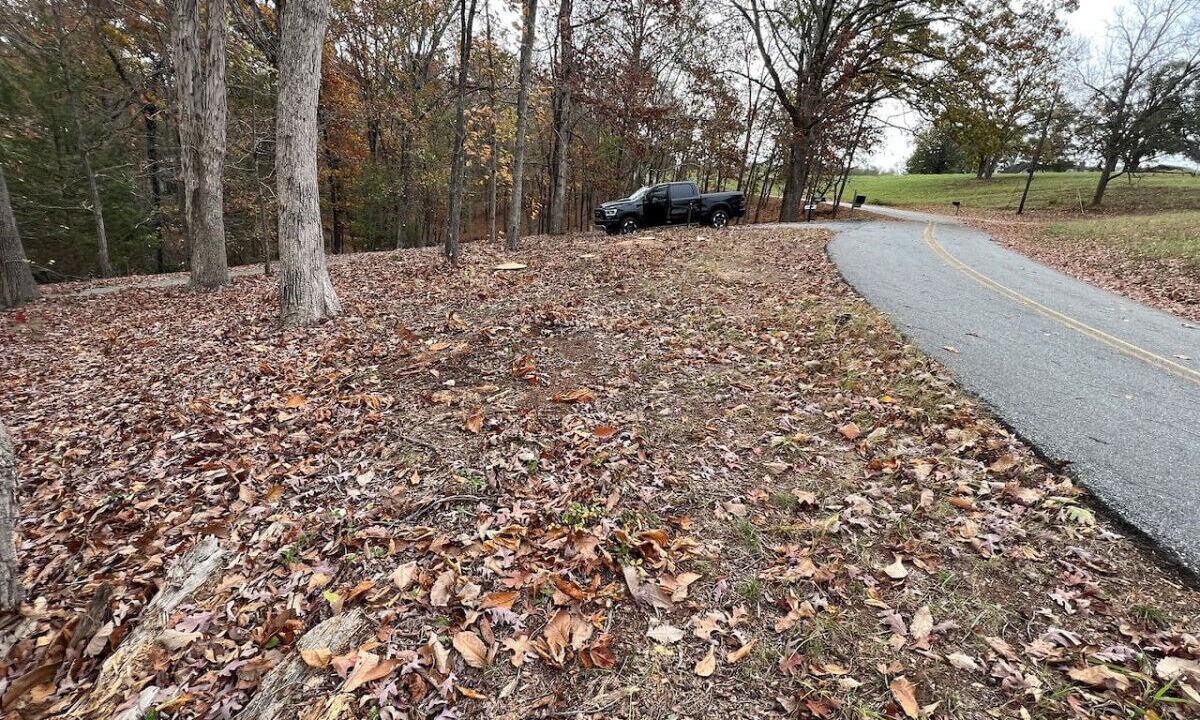 Photo of Outdoor in Anderson