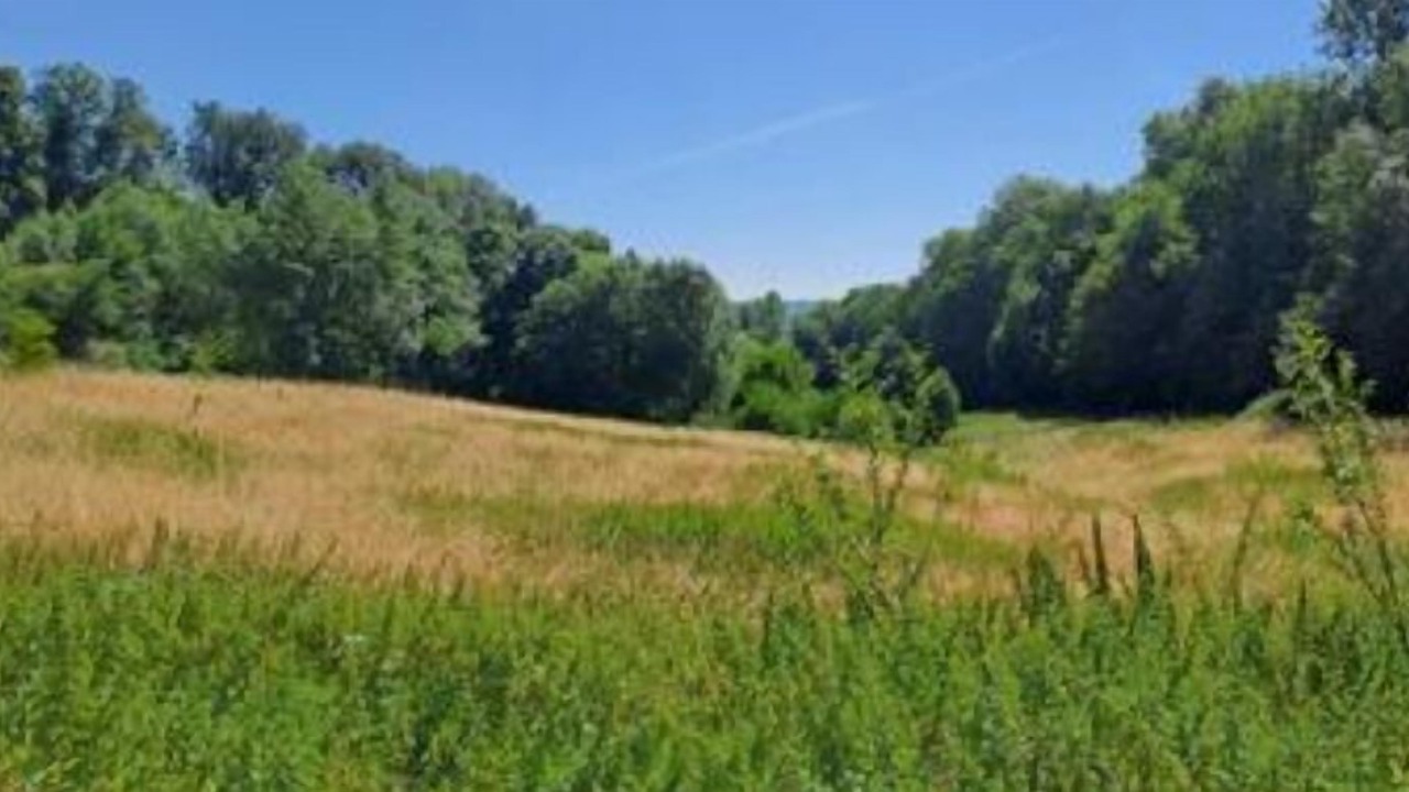 Photo of Others in Castelnau-de-Brassac