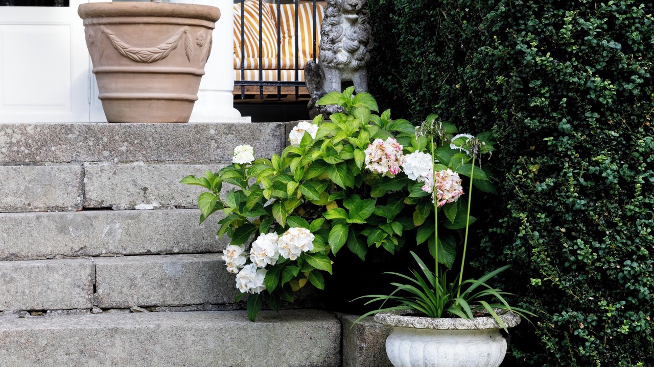 Photo of Outdoor in Holeby