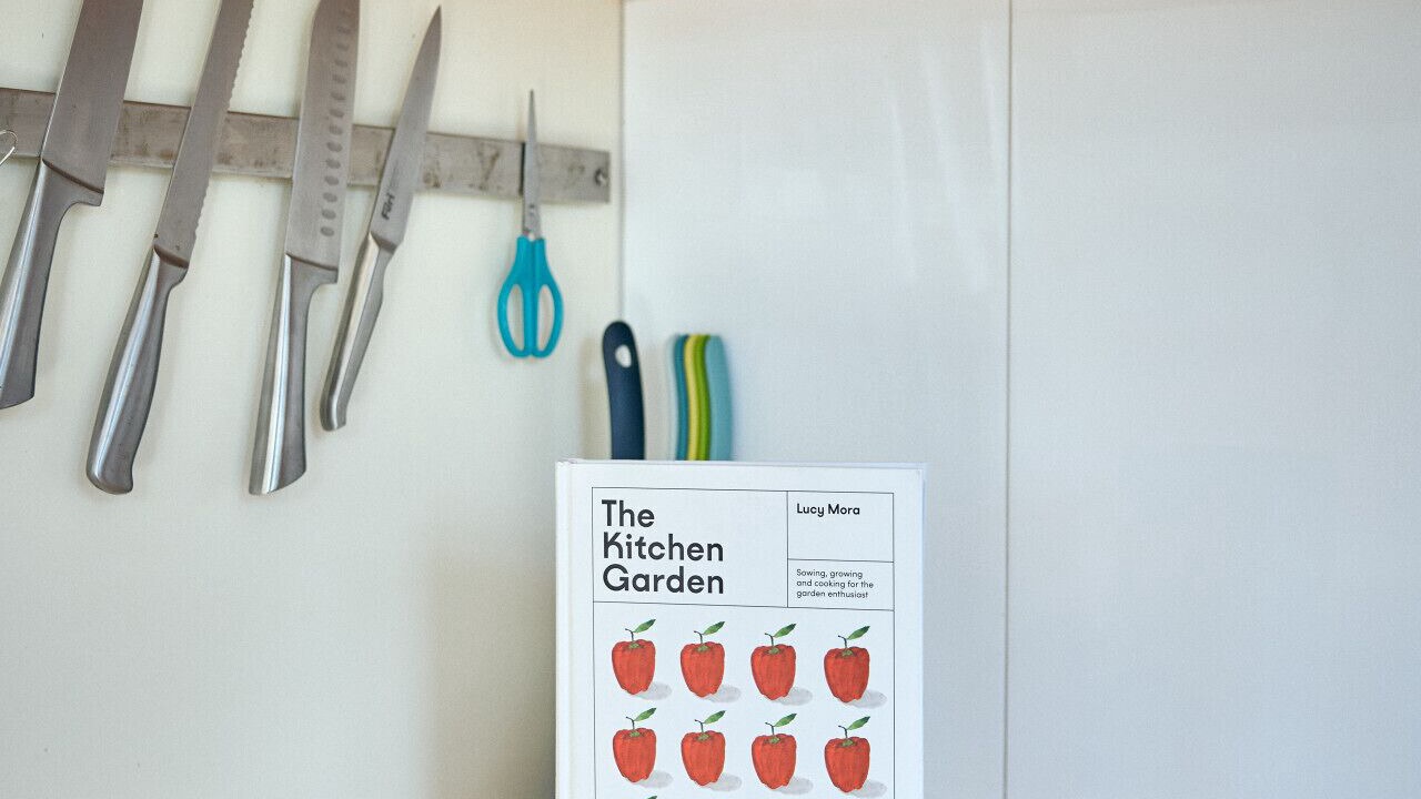 Photo of Others in Jan Juc