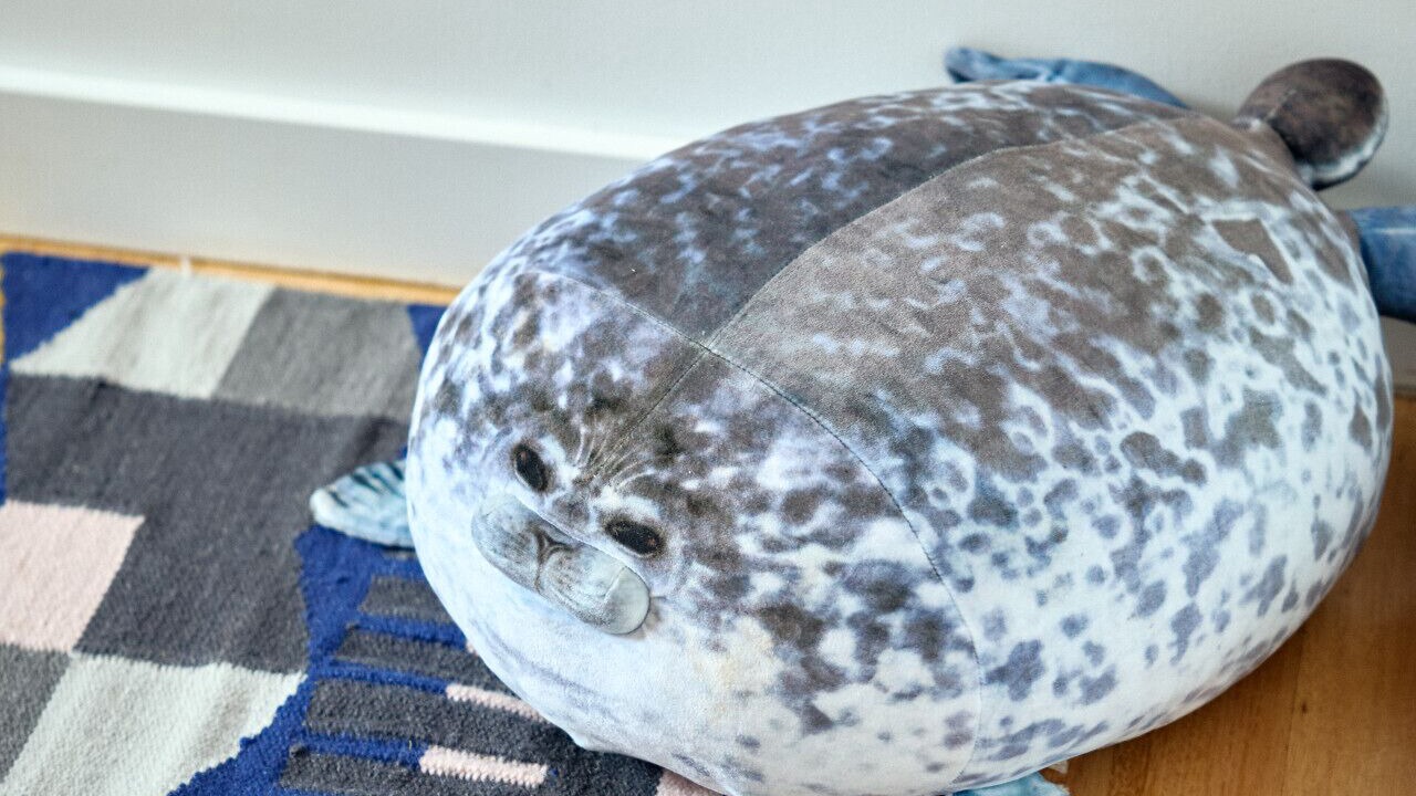 Photo of Others in Jan Juc