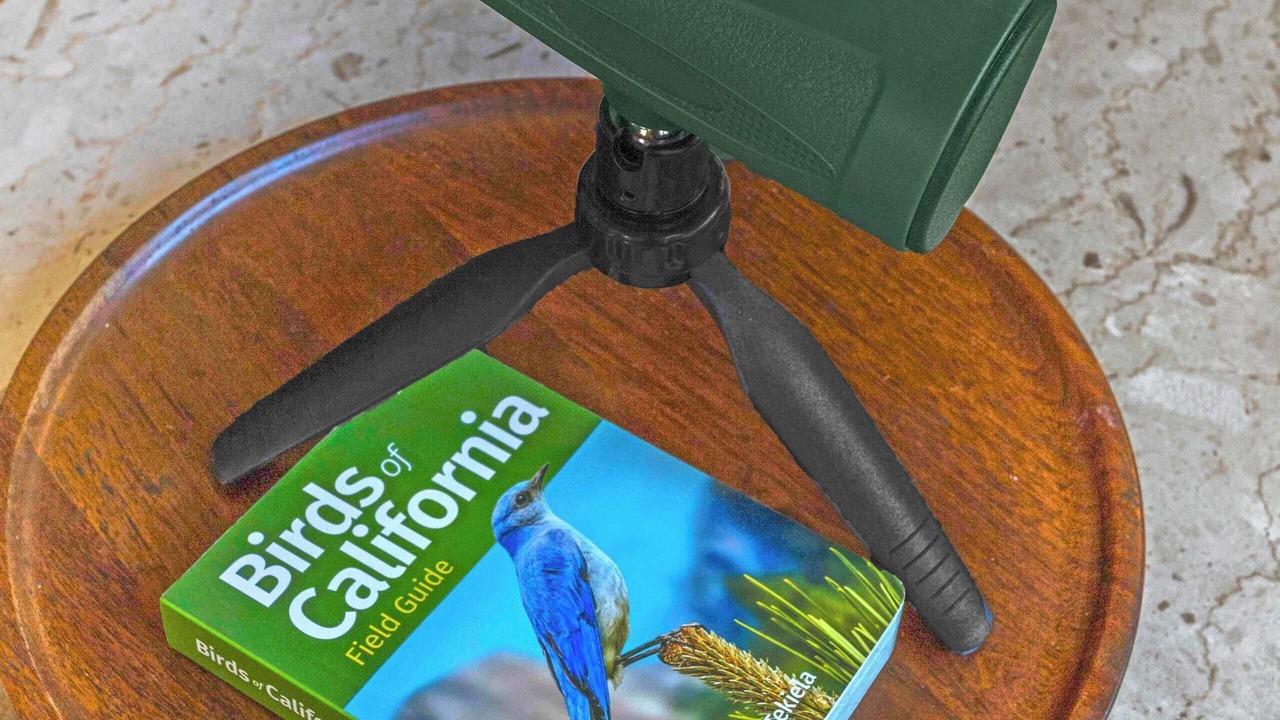 Photo of Others in Hacienda