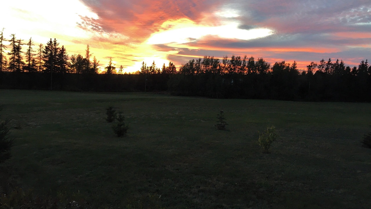 Photo of Others in Sackville
